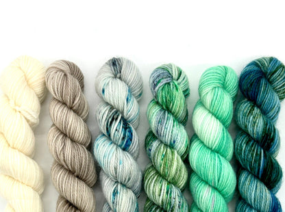 Homegrown Mini Color Set-Hand Dyed Diva-Cheers To Ewe!